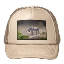 Lune de licorne casquettes