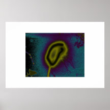 Lune Posters