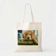 Lupus de Canis de chiot de golden retriever Famili Sac