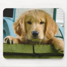 Lupus de Canis de chiot de golden retriever Famili Tapis De Souris