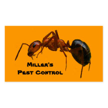 Lutte contre les parasites cartes de visite personnelles