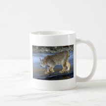 Lynx de Canada, hiver Mug