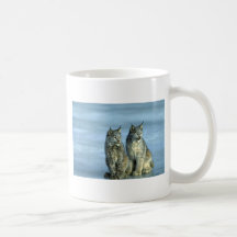 Lynx de Canada, hiver, paire par le courant glacia Tasses À Café