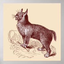 Lynx de Canada Posters