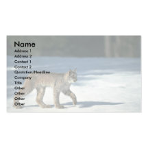 Lynx de Canada sur la neige Modèles De Cartes De Visite