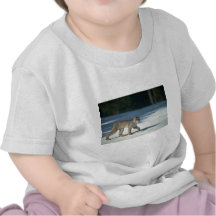 Lynx de Canada sur la neige T-shirt