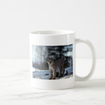 Lynx de Canada sur la neige Tasses