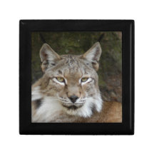 lynx sibérien 001 boîtes à bijoux
