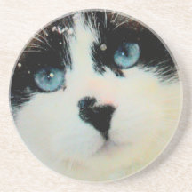 M. caboteur de chat d'yeux bleus dessous de verre