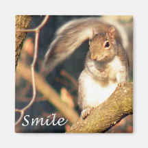 M. Squirrel Magnet de sourire Magnets