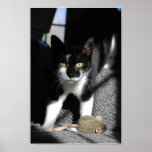 Ma souris ! posters