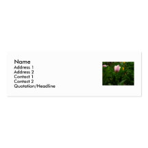 Ma tulipe de bébé carte de visite