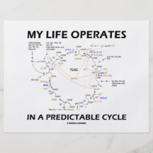 Ma vie fonctionne dans un cycle prévisible (Krebs) Tract