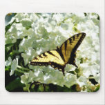 Machaon sur l'hortensia blanc tapis de souris