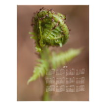 Macro de Fiddlehead Photos
