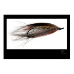 Madame Caroline Salmon Fly Poster posters