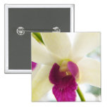 Madame Orchid Badges Avec Agrafe