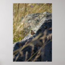 Madame peinte Butterfly Poster