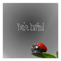 Madame rouge Bug On Leaf - arrière - plan de effac Faire-parts