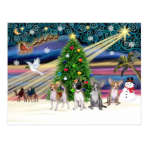 Magie-Chiwawas de Noël (quatre) Carte Postale