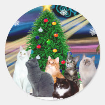 Magie de Chrstmas - six chats (variété) Autocollant