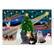 Magie de Chrstmas - six chats (variété) Carte De Vœux
