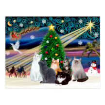 Magie de Chrstmas - six chats (variété) Carte Postale