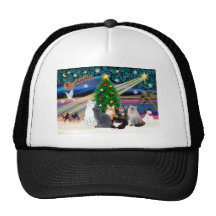 Magie de Chrstmas - six chats (variété) Casquettes De Camionneur