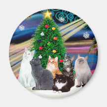 Magie de Chrstmas - six chats (variété) Aimants Pour Réfrigérateur