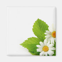 magnet floral magnets