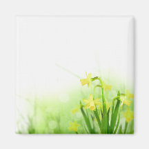 magnet floral magnets pour réfrigérateur