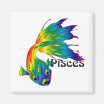 Magnet lunatique de Poissons Aimants
