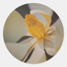 Magnolia Autocollants
