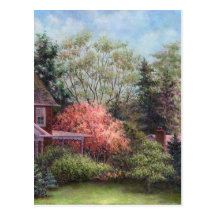 Magnolia Carte Postale