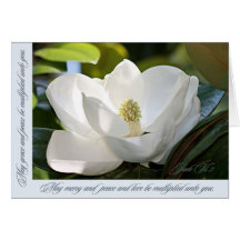 Magnolia magnifique cartes de vœux