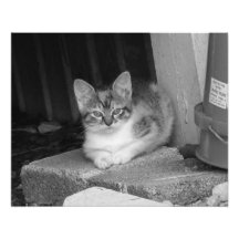 Mai 2013 - B&W Photographe