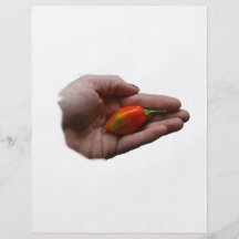 Main tenant un piment de habanero prospectus personnalisés