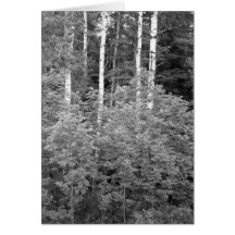 Maine_Black+White_121 Carte