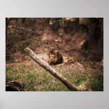 Majestueux Poster