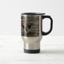 Mâle de canard de Mallard Tasse À Café