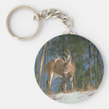 Mâle de cerfs communs porte-clef