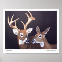Mâle et daine affiches