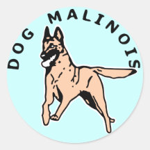malinois courrant autocollants