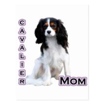 Maman cavalière 4 cartes postales
