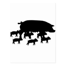 maman de porc avec la jeune icône de porcs cartes postales