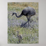 Maman et bébé affiches
