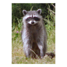 Maman Raccoon Cartons D'invitation Personnalisés
