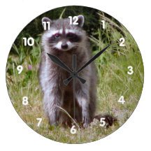 Maman Raccoon Pendules