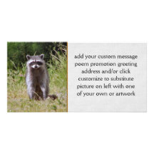 Maman Raccoon Photocartes