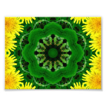 Mandala de kaléidoscope de pissenlit photos